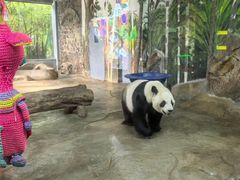 -海南热带野生动植物园