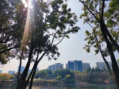 -深圳龙潭公园