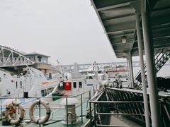 -武汉关码头(轮渡站)