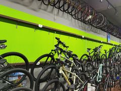 -道路口单车爱瓦士dahon大行