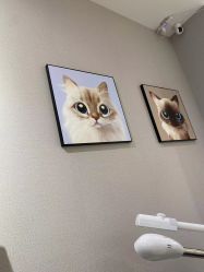 -洗脸猫·洗脸吧