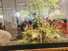 -绿茶餐厅(滨海万达广场店)