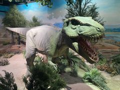 -国家自然博物馆