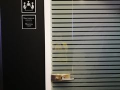 -谢列梅捷沃国际机场