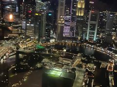 -新加坡瑞士史丹福酒店