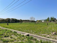-嘉北郊野公园