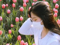 -长春公园(普阳街道)