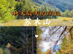 -苏木山森林公园