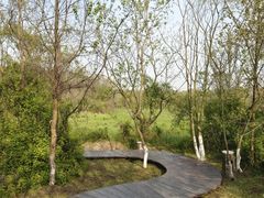 -盘龙城国家考古遗址公园