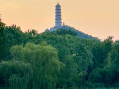 -北坞公园