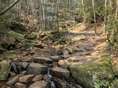 -莫干山风景区