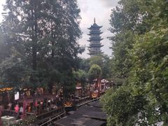 -乌镇西栅景区