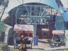 -王记西鎮电烤肉(汶上路店)