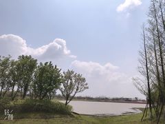 -九龙湖公园