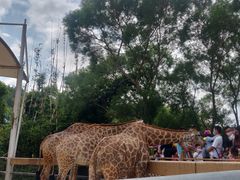 -泉州海丝野生动物世界