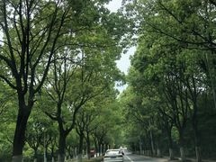 -东钱湖旅游度假区