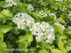 -太阳宫公园