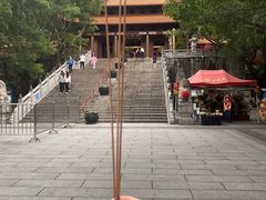 -深圳仙湖植物园