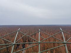 -黄海国家森林公园