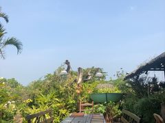 -自然餐厅(Phuket)