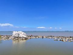 -上海吴淞炮台湾国家湿地公园
