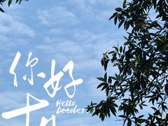 -晓港公园