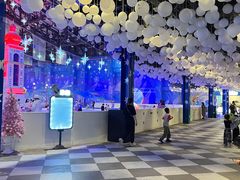 -西安银基冰雪世界
