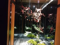 -阿浪故事·足疗SPA·海鲜自助(双楠店)