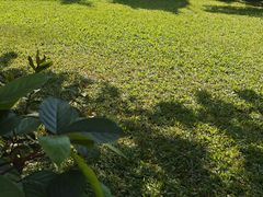 -长虫山生态公园风景林