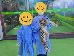 -栾川竹海野生动物园