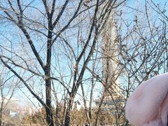 -中央广播电视塔