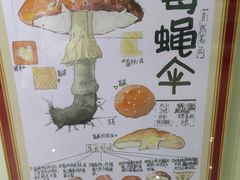 -上海昆虫博物馆