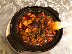 -陈麻婆豆腐总店