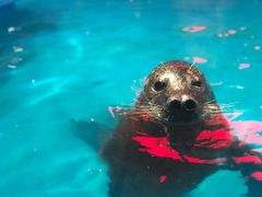 -梦幻海洋王国(吾悦广场张家港店)