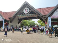 -上海海湾国家森林公园