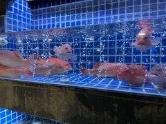 -徐记海鲜(大明宫|北二环店)