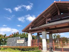-南湖湿地公园