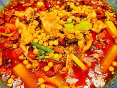 -馋嘴猫北京食堂·烤鸭·宵夜(亚运村店)