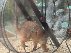 -珠海海泉湾神秘岛亲子乐园