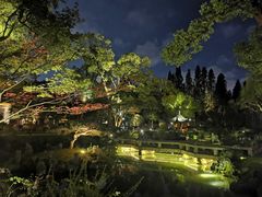 -杭州西湖柳莺里酒店·闻莺厅