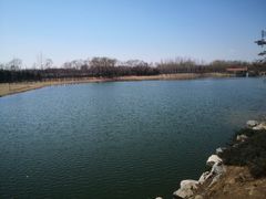 -大兴滨河森林公园