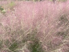 -上海植物园-4号门售票处