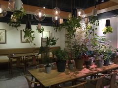 大堂-柴务处·柴犬主题狗咖