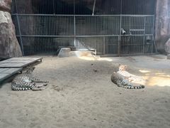 -鄂尔多斯野生动物园