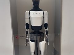 -TESLA 特斯拉(广州天环广场体验店)