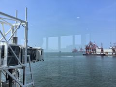 -招商蛇口邮轮母港(观光客运)