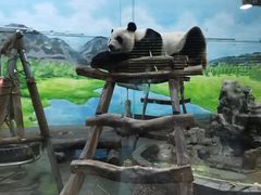 -柳州市动物园