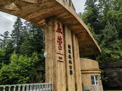 -五营国家森林公园