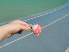 -鱼之家小四川水煮鱼