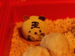 -成都观隐颐云台酒店-芳菲秀